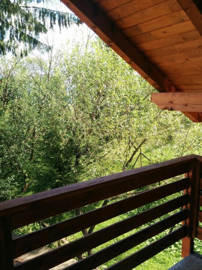 Appartamento Casuta Pietrosul Rodnei Borşa Esterno foto