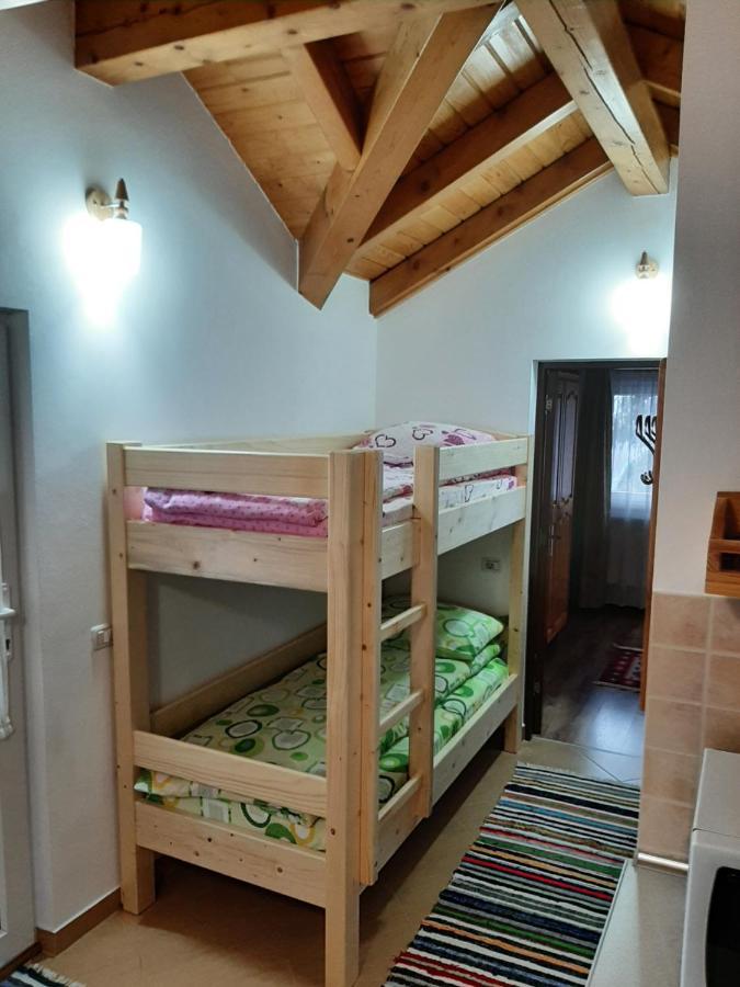 Appartamento Casuta Pietrosul Rodnei Borşa Esterno foto